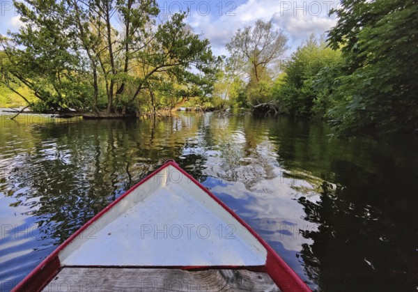View from a rowing boat onto the Ruhr with an overgrown island in the river, Witten, Ruhr area, Germany