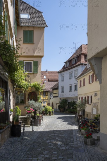 Die Webergasse in der historischen Altstadt von Esslingen mit historischen Fachwerkhäusern, Esslingen am Neckar, Landkreis Esslingen, Baden-Württemberg, Deutschland