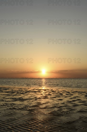 Sunset over the Wadden Sea on the German North Sea coast, low sun over Neuwerk, typical ripple mudflats at low tide, Lower Saxony Wadden Sea National Park, Lower Saxony, Germany, atmospheric picture, native nature, landscape, North Sea near Cuxhaven, Duhnen, Western Europe