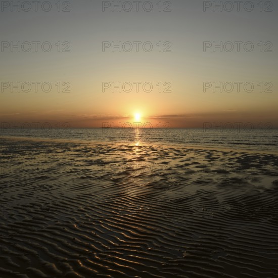 Sunset over the Wadden Sea on the German North Sea coast, low sun over Neuwerk, typical ripple mudflats at low tide, Lower Saxony Wadden Sea National Park, Lower Saxony, Germany, atmospheric picture, native nature, landscape, North Sea near Cuxhaven, Duhnen, Western Europe