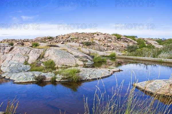 Rocky landscape of Bohusgranite on the coast of Lysekil, Bohuslän, Västra Götalands län, Sweden, Scandinavia