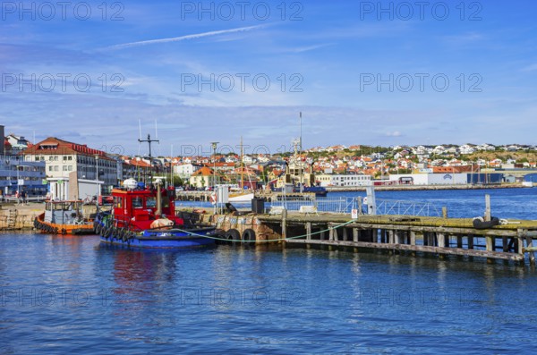 Picturesque scenery of small tugboats in the harbour of Lysekil, Bohuslän, Västra Götalands län, Sweden, Scandinavia