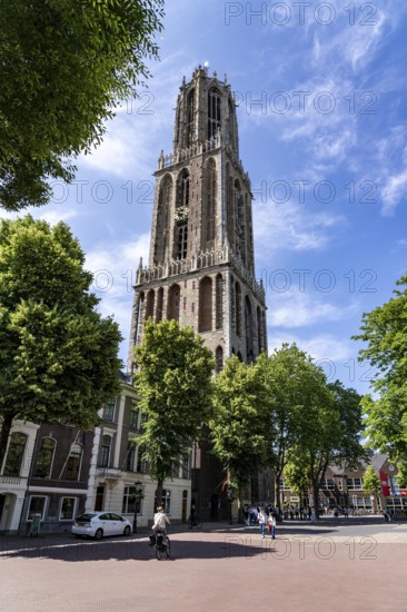 The historic centre of Utrecht, with many old houses, Dom tower, highest church tower in the Netherlands, newly renovated, Netherlands