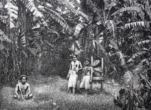 Plantation, labourer on Samoa, c. 1880, digitally enhanced reproduction of a 19th century model, historical, exact date unknown