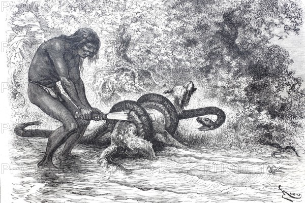 A South American Indian frees his dog from the stranglehold of a boa constrictor constrictor snake, Historical, digitally enhanced reproduction of an original from around 1860