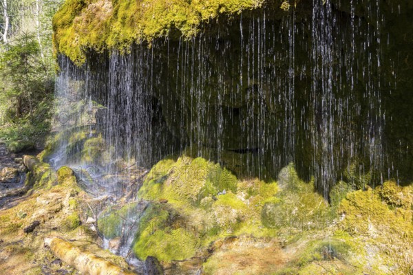 Dietfurt Waterfall, a moss waterfall in the Wutach Gorge, Black Forest, Baden-Württemberg, Germany
