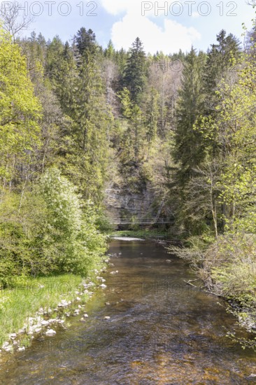 River Wutach in the Wutach Gorge, Black Forest, Baden-Württemberg, Germany