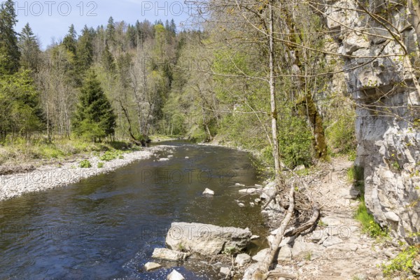 River Wutach in the Wutach Gorge, Black Forest, Baden-Württemberg, Germany