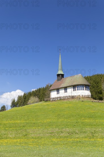 Pius Chapel in Katzensteigtal, Furtwangen in the Black Forest, Baden-Württemberg, Germany