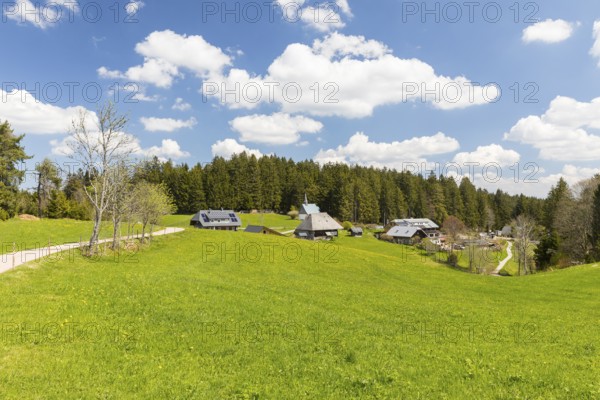 St Martin's Chapel and Kolmenhof near the source of the Danube, site of the European watershed, Furtwangen in the Black Forest, Baden-Württemberg, Germany