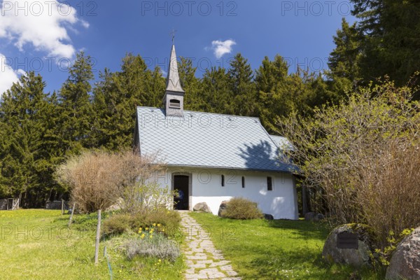 St Martin's Chapel near the Kolmenhof and the Breg spring, Furtwangen in the Black Forest, Baden-Württemberg, Germany