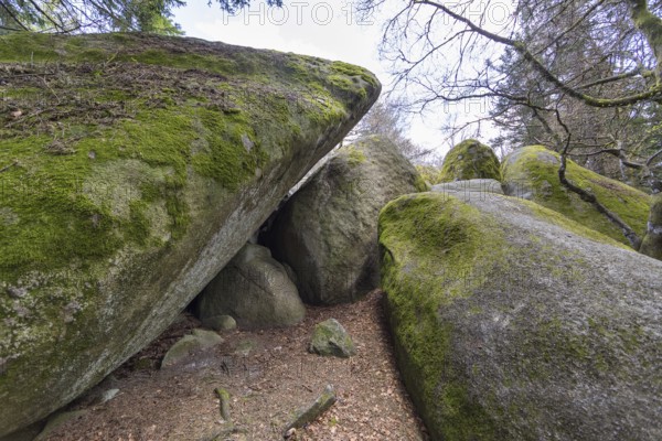 Granite rock Günterfelsen near the source of the Danube, Furtwangen in the Black Forest, Baden-Württemberg, Germany