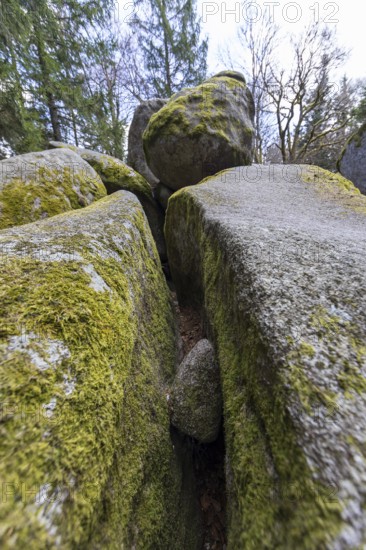 Granite rock Günterfelsen near the source of the Danube, Furtwangen in the Black Forest, Baden-Württemberg, Germany