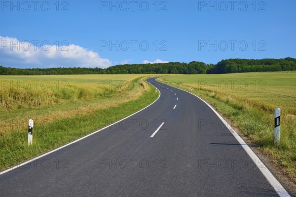Rural road winds through green fields under a blue sky with white clouds, summer, Marktheidenfeld, Bavaria, Germany