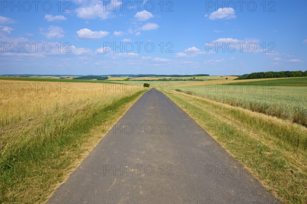 Straight road through wide fields under a blue sky with clouds, summer, Thüngen, Main Spessart district, Bavaria, Germany