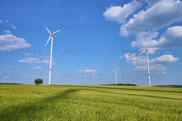 Three wind turbines stand in a large open barley field under a clear sky, summer, Retzstadt, Main Spessart district, Bavaria, Germany