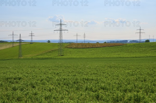Extensive green fields with electricity pylons and a blue sky with clouds, Marktheidenfeld, Bavaria, Germany