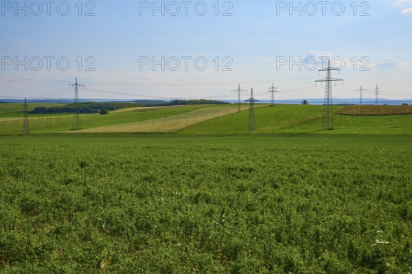 Wide green fields with several electricity pylons and a blue, slightly cloudy sky, Marktheidenfeld, Bavaria, Germany