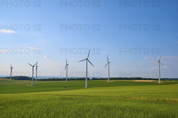 Wind turbines on green fields of grain under a blue sky, a symbol for renewable energy, summer, Höhefeld, Wertheim, Baden-Württemberg, Germany
