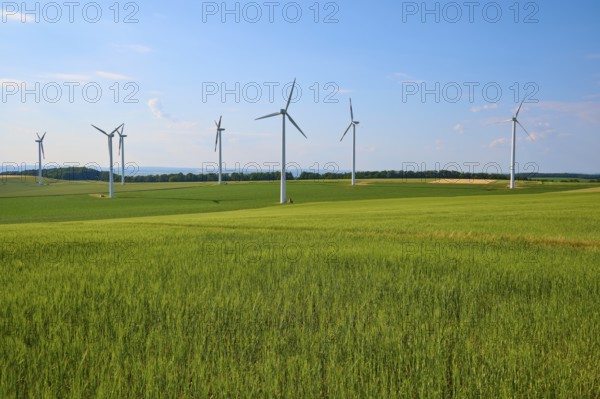 Green grain fields with wind turbines under a blue sky, representation of sustainable energy, summer, Höhefeld, Wertheim, Baden-Württemberg, Germany