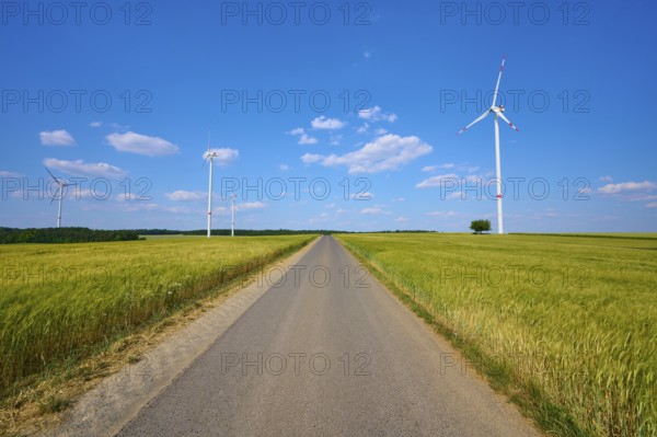 A long road leads through a corn field with wind turbines and a blue, cloudy sky, summer, Retzstadt, Main Spessart district, Bavaria, Germany
