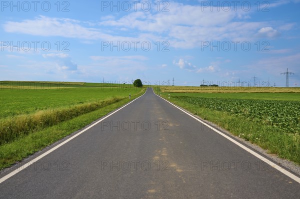 A straight country road between green fields under a blue sky with white clouds, Marktheidenfeld, Bavaria, Germany