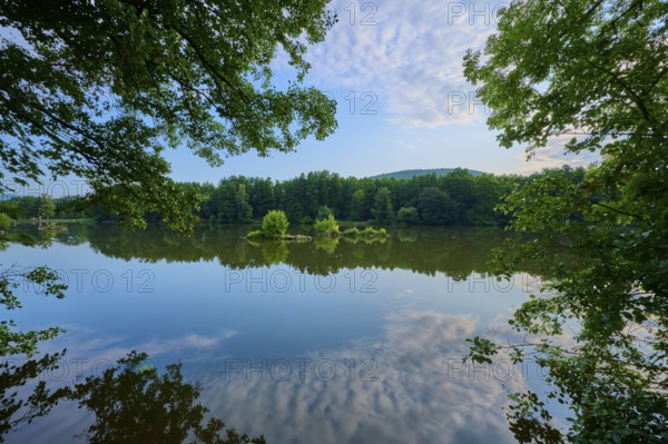 A calm, reflecting river surrounded by trees and small islands in the morning light, summer, Grünenwört, Wertheim, Main, Main-Tauber-Kreis, Baden-Württemberg, Germany