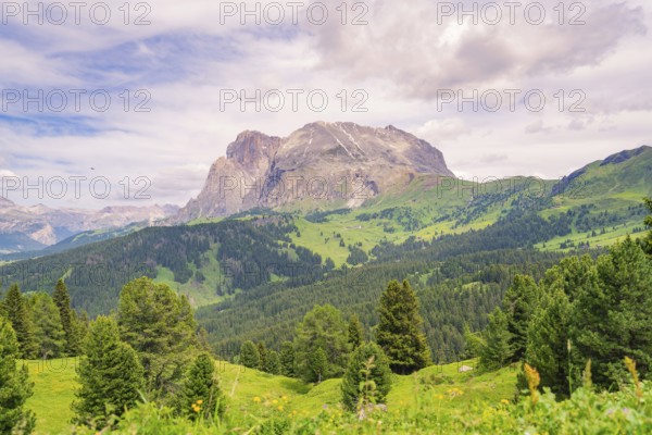 Extensive mountain and forest landscape with meadows and sky, Alpe di Siusi, Dolomites, South Tyrol, Italy