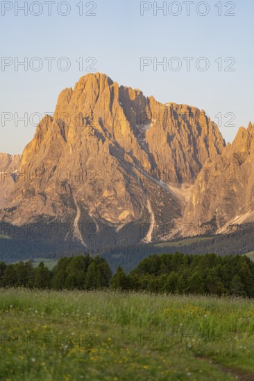 Impressive rock formations in the evening light of the Dolomites with summer meadow in front, Alpe di Siusi, Dolomites, South Tyrol, Italy
