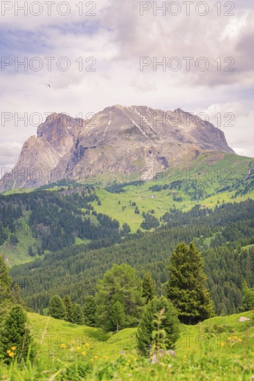 Mountain panorama with green forests and meadows under a cloudy sky, Alpe di Siusi, Dolomites, South Tyrol, Italy