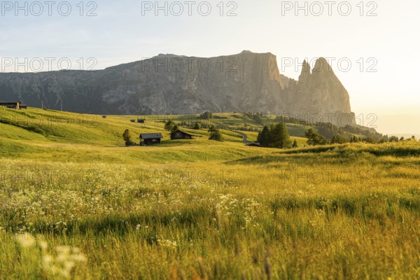 Mountain landscape in warm light shortly in front of sunset, Schlehrn, Alpe di Siusi, Dolomites, South Tyrol, Italy