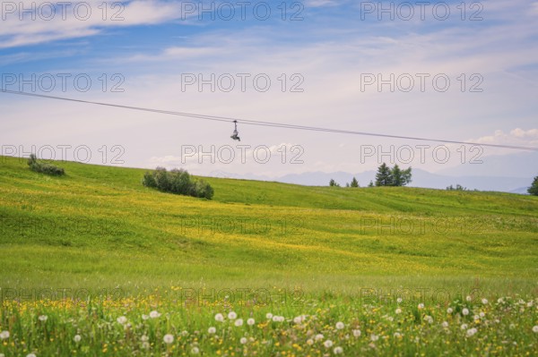 Green meadow with flowers and cable car in front of a wide sky, Alpe di Siusi, Dolomites, South Tyrol, Italy