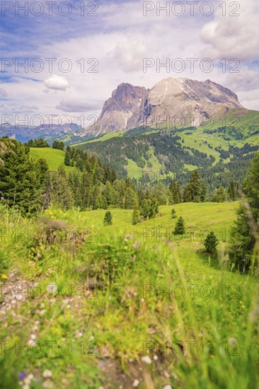 Green hilly landscape with mountain view and cloudy sky, Alpe di Siusi, Dolomites, South Tyrol, Italy