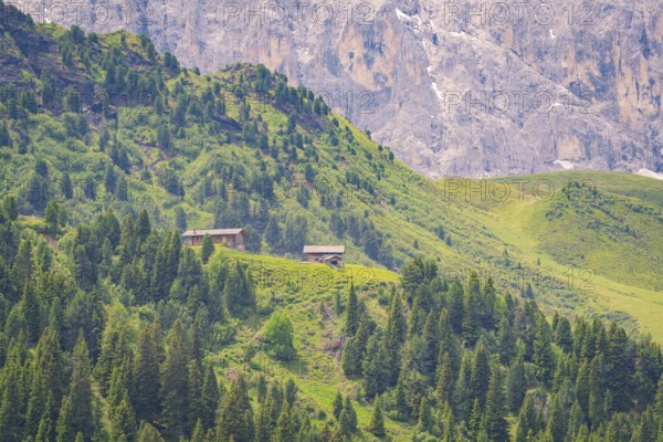 Wooden huts nestled in a wooded, mountainous landscape with a rocky background, Alpe di Siusi, Dolomites, South Tyrol, Italy