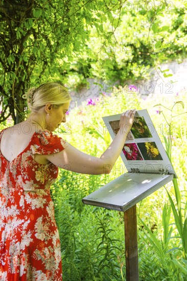 A woman looks at an information board in the middle of a green and flowery landscape, Botanical Garden, The Gardens of Trauttmansdorff Castle, Merano, South Tyrol, Italy