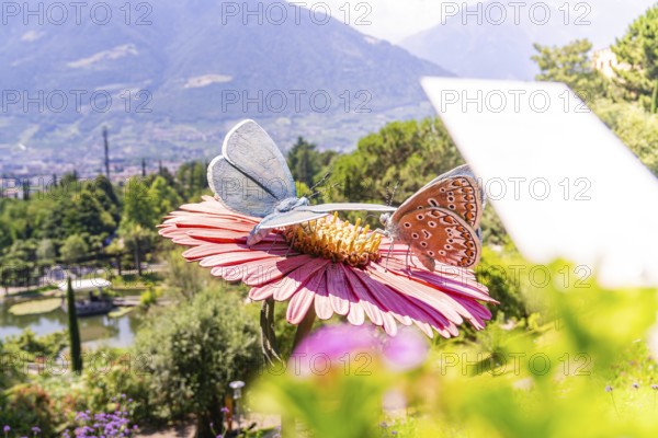 Two large plastic butterflies on a flower with a view of the mountains, Botanical Gardens, The Gardens of Trauttmansdorff Castle, Merano, South Tyrol, Italy