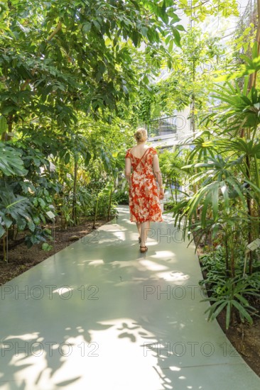 Woman in a red dress walks amidst lush vegetation in the botanical garden, Botanical Garden, The Gardens of Trauttmansdorff Castle, Merano, South Tyrol, Italy