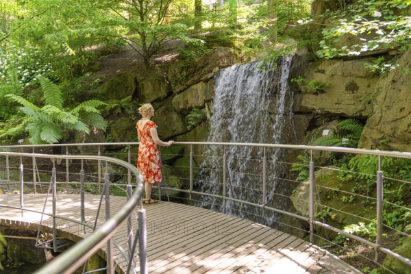 A woman stands on a bridge and looks at a waterfall in the forest, Botanical Garden, The Gardens of Trauttmansdorff Castle, Merano, South Tyrol, Italy