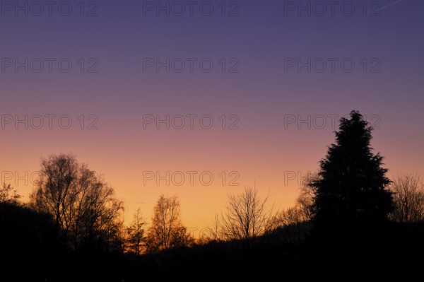 Sunset with beautiful red sky and forest silhouette, silhouette photograph, Wilnsdorf, North Rhine-Westphalia, Germany