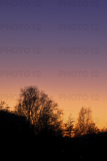 Sunset with beautiful red sky and forest silhouette, silhouette photograph, Wilnsdorf, North Rhine-Westphalia, Germany