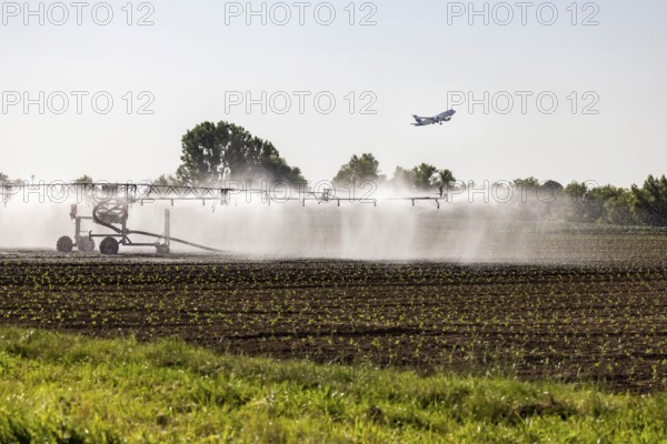 Hot days, little rainfall. Irrigation of young vegetable plants during drought in the fields of Neuhausen auf den Fildern, Baden-Württemberg, Germany