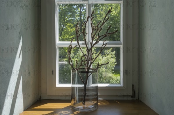 A single branch in a glass vase stands on a wooden windowsill in front of a window through which sunlight falls, North Rhine-Westphalia, Germany