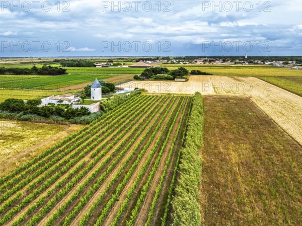 Fields and Grape plantations from a drone, Saint-Clement-des-Baleines, Atlantic, France