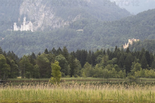 Neuschwanstein Castle and Hohenschwangau Castle (right) with Lake Schwansee in the foreground, Allgäu, Bavaria, Germany, Allgäu, Bavaria, Germany