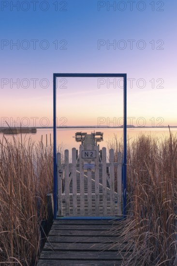 View along a footbridge through a door frame to the Steinhuder Meer in the evening light, Great White Egret (Ardea alba, Syn.: Casmerodius albus, Egretta alba), Landscape photo, Nature photo, Mardorf, Neustadt am Rübenberge, Hanover Region, Lower Saxony, Germany