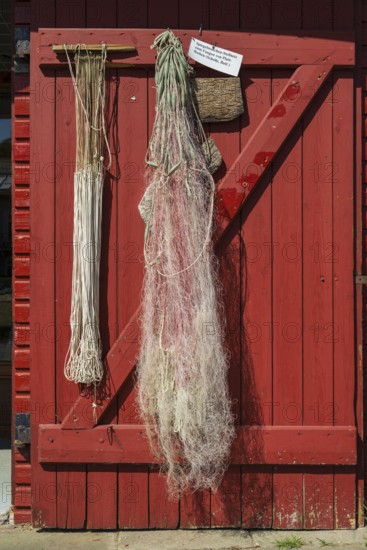 Rope and fishing net on a wooden door, trammel net, harbour, Flensburg, Flensburg Fjord, Baltic Sea, Schleswig-Holstein, Germany