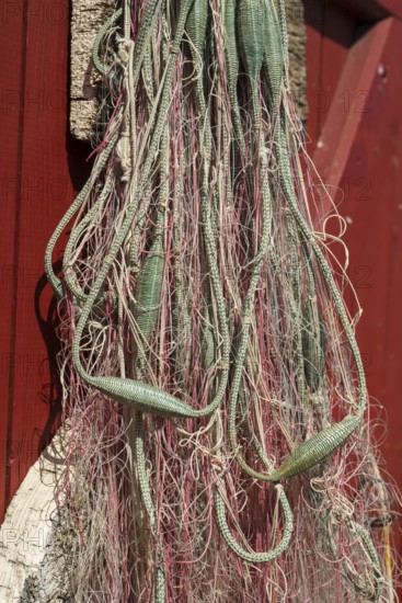 Fishing net on a wooden door, trammel net, harbour, Flensburg, Flensburg Fjord, Baltic Sea, Schleswig-Holstein, Germany