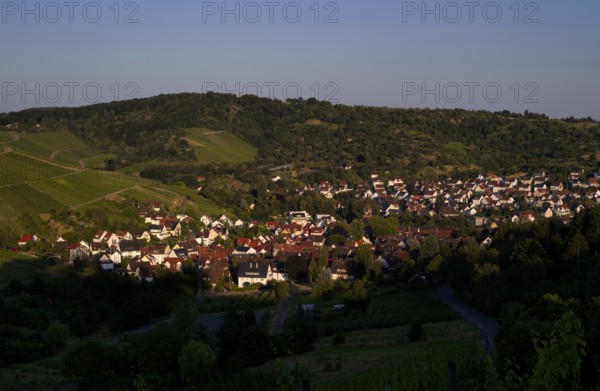 View from Rotenberg, Württemberg, to Urbach, Rems Valley, vineyards, evening light, Stuttgart, Baden-Württemberg, Germany