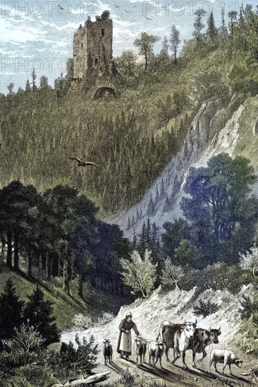 Farmers with goats, sheep and cows under the castle of Nideck in Alsace, France, Illustration, published 1890, Reproduction, digitally enhanced, Historical