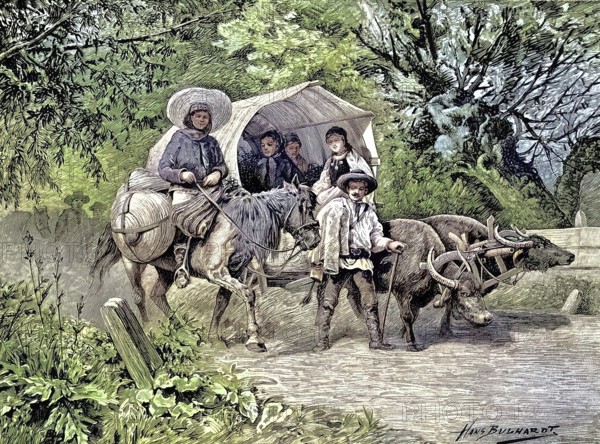 Farmers going to market, carriage pulled by cattle, Agriculture, Transylvania, Romania, Illustration from 1894, Reproduction, digitally enhanced, Historical
